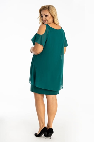 FRANCIS C.ZIELEŃ.jpg