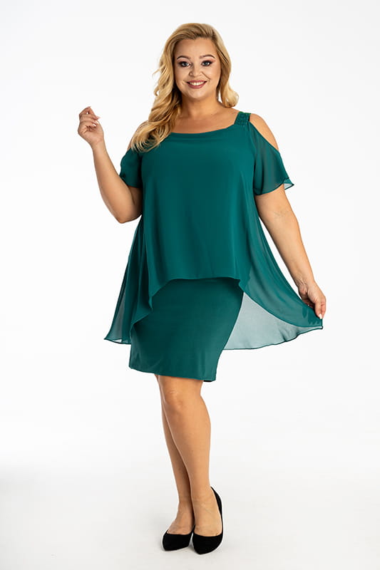 FRANCIS C.ZIELEŃ.jpg